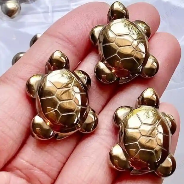 Pyrite Tortoise