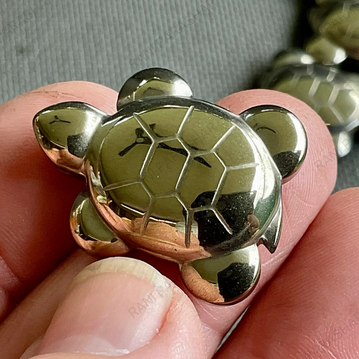 Pyrite Tortoise